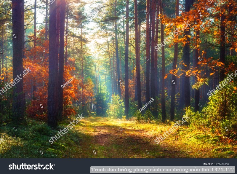 Tranh dán tường phong cảnh hồ thác, cây cối T321-504